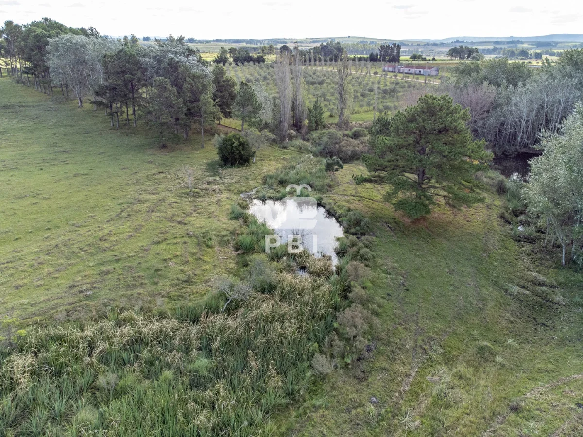 Chacra en Laguna del Sauce, propiedad 177372 -Imagen 6