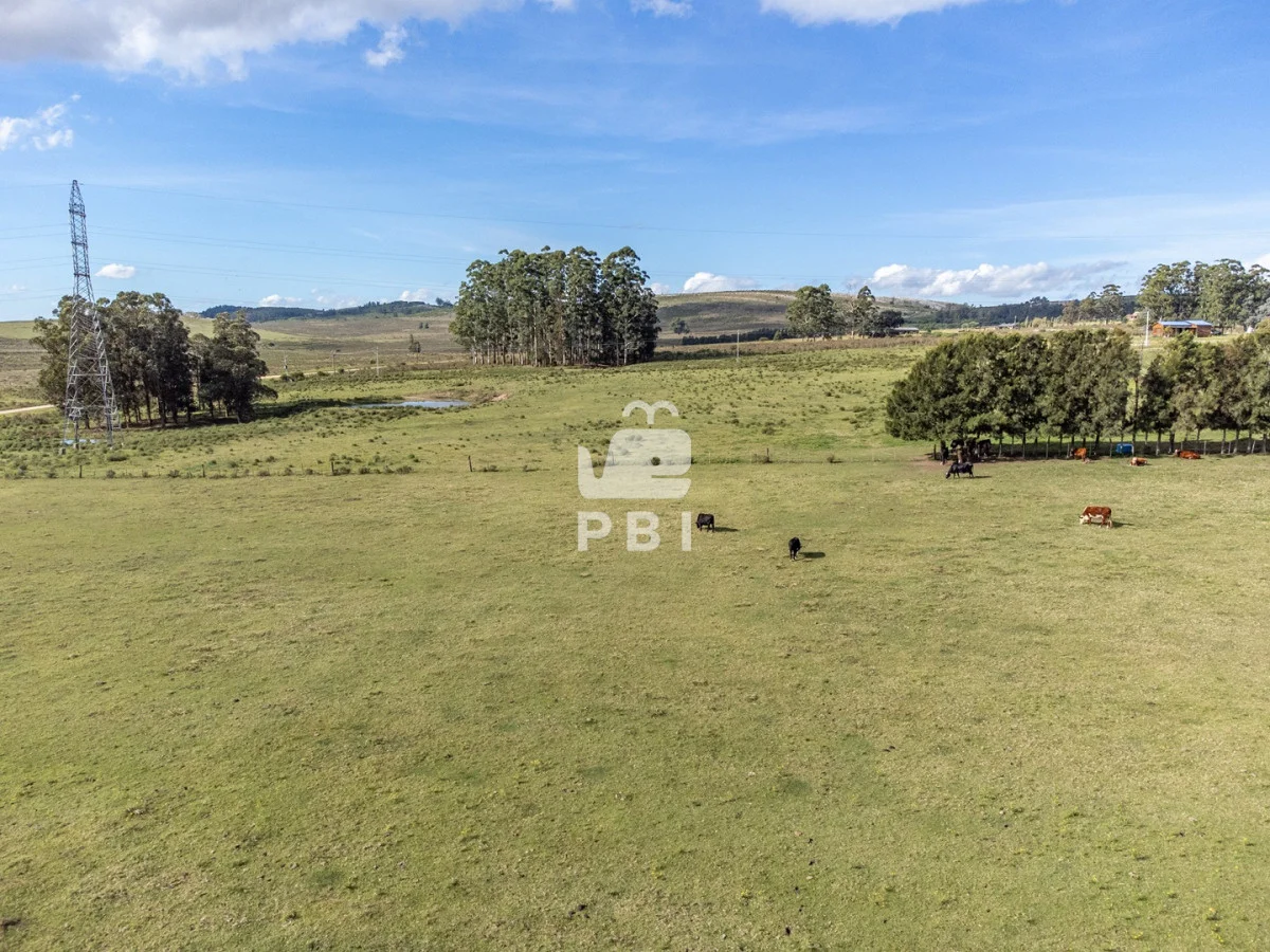 Chacra en Laguna del Sauce, propiedad 177373 -Imagen 6