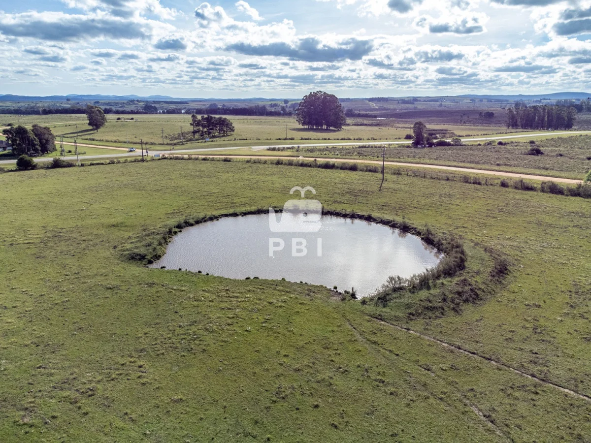 Chacra en Laguna del Sauce, propiedad 177373 -Imagen 8