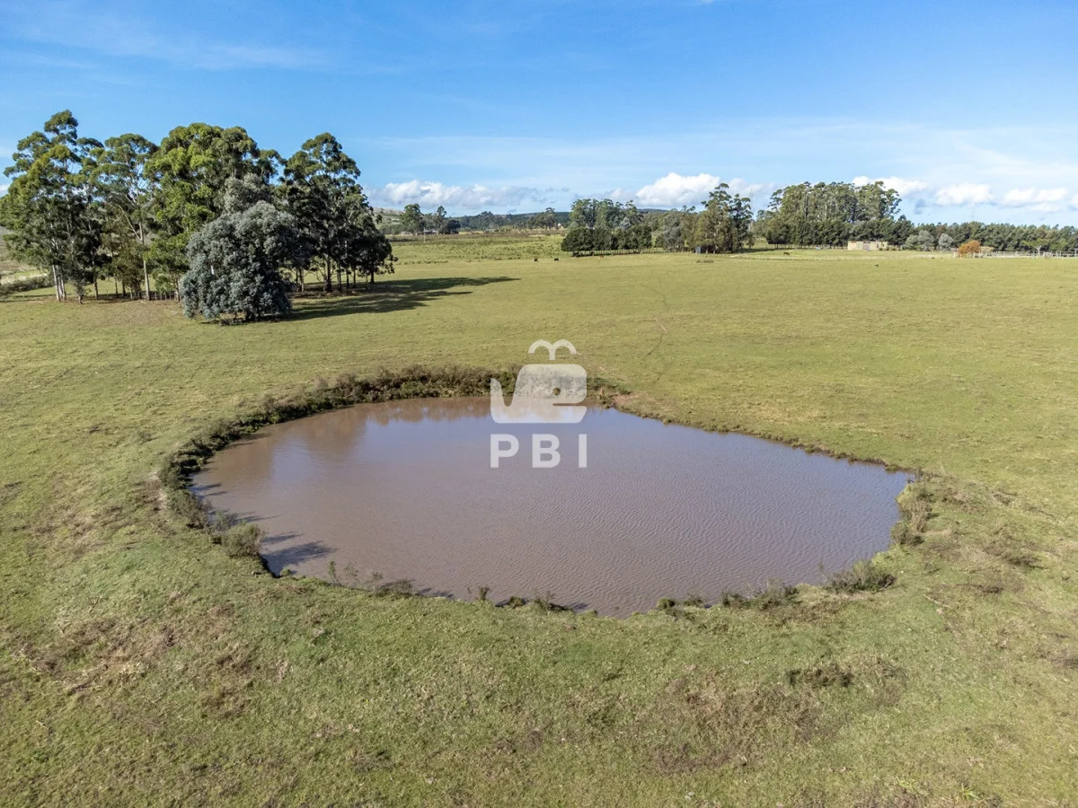 Chacra en Laguna del Sauce, propiedad 177373 -Imagen 9