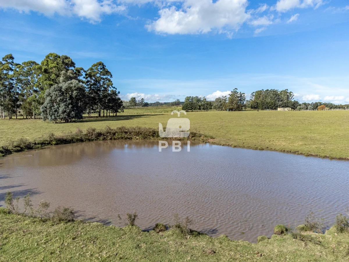Chacra en Laguna del Sauce, propiedad 177373 -Imagen 10