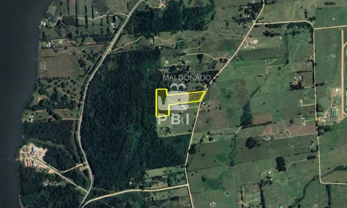 Chacra en Laguna del Sauce, propiedad 187511 -Imagen 11