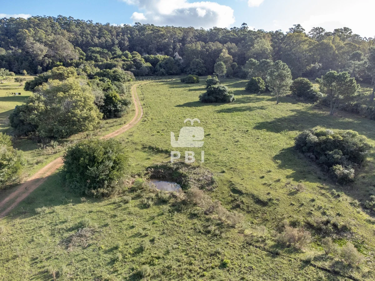 Chacra en Laguna del Sauce, propiedad 187511 -Imagen 4