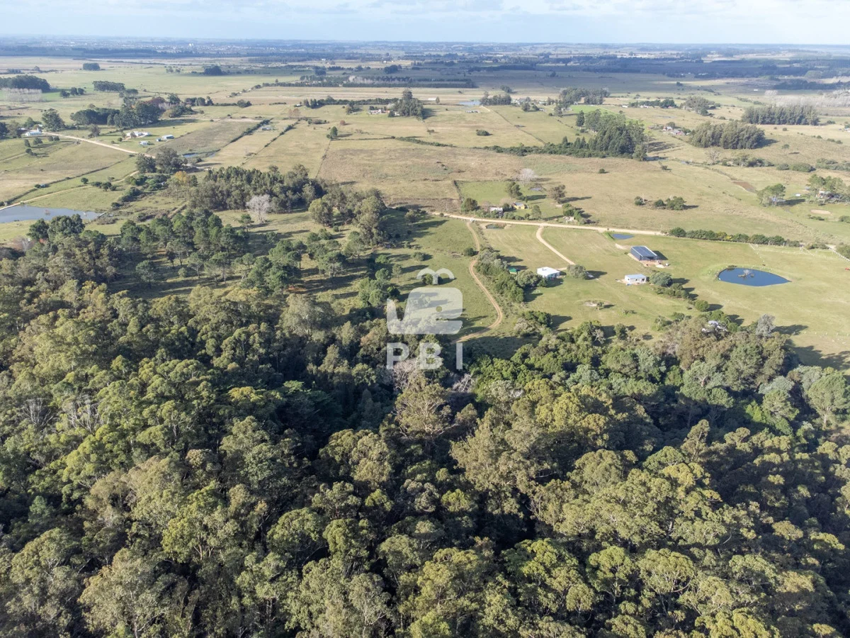 Chacra en Laguna del Sauce, propiedad 187511 -Imagen 6