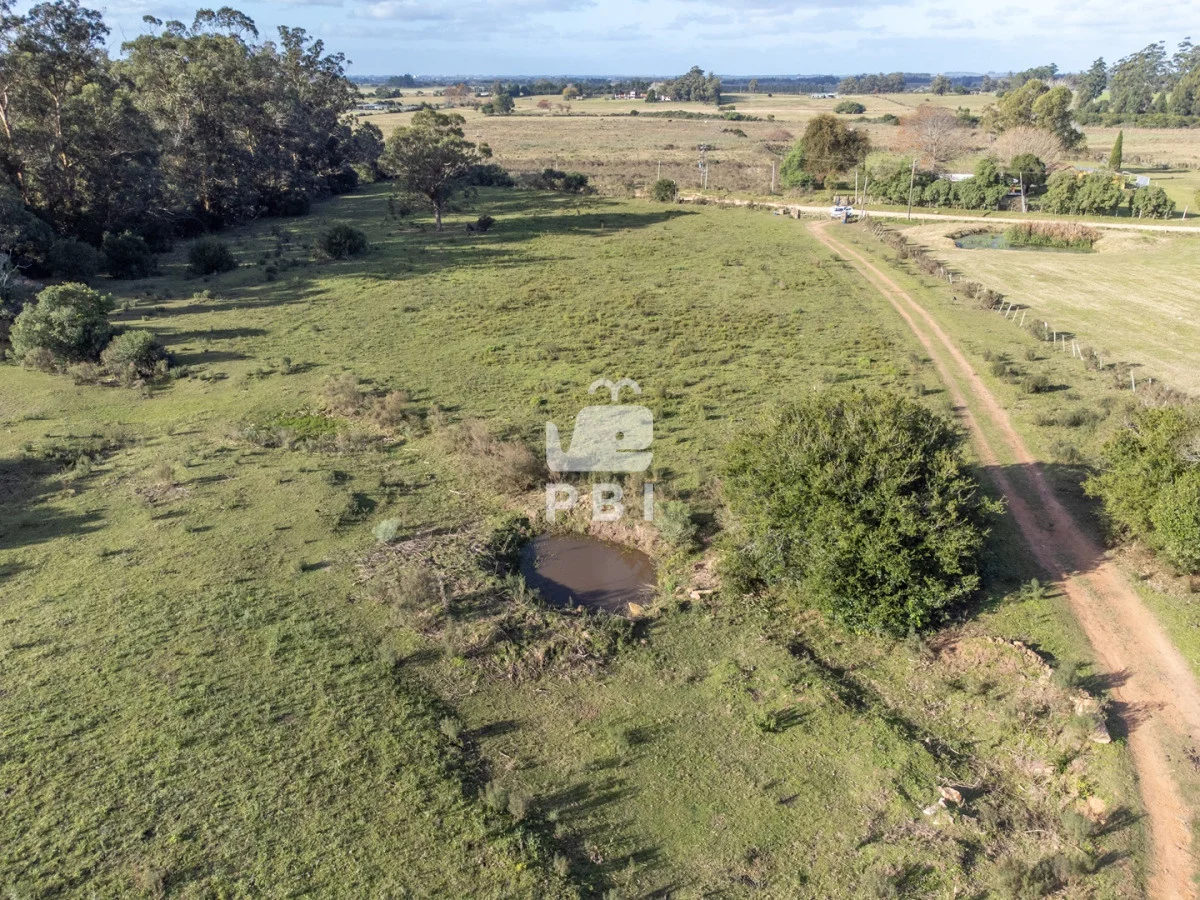 Chacra en Laguna del Sauce, propiedad 187511 -Imagen 9