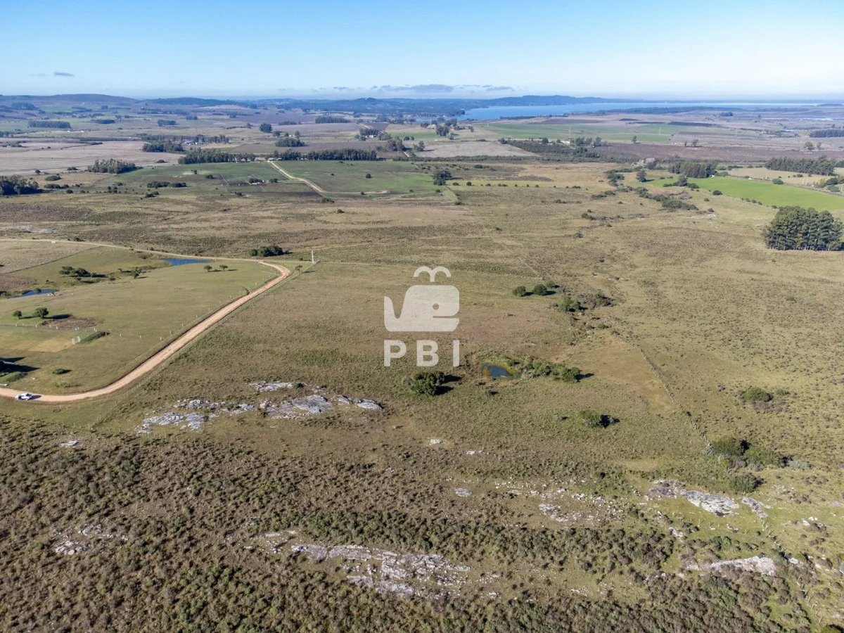 Chacra en Rural, propiedad 187542 -Imagen 2