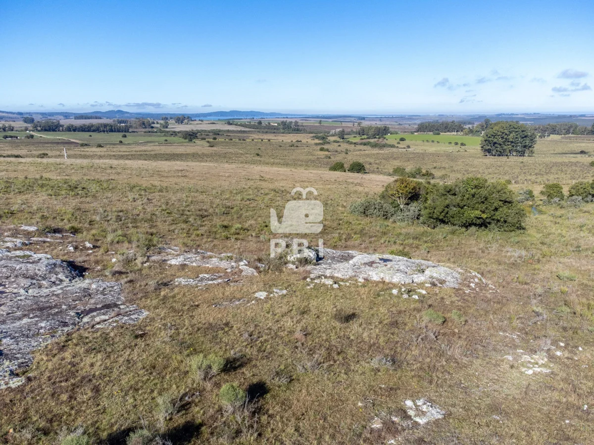 Chacra en Rural, propiedad 187542 -Imagen 11