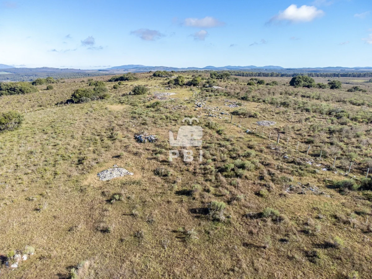Chacra en Rural, propiedad 187542 -Imagen 12