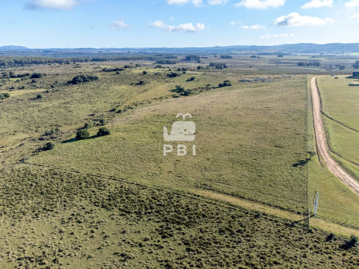 Chacra en Rural, propiedad 187542 -Imagen 15