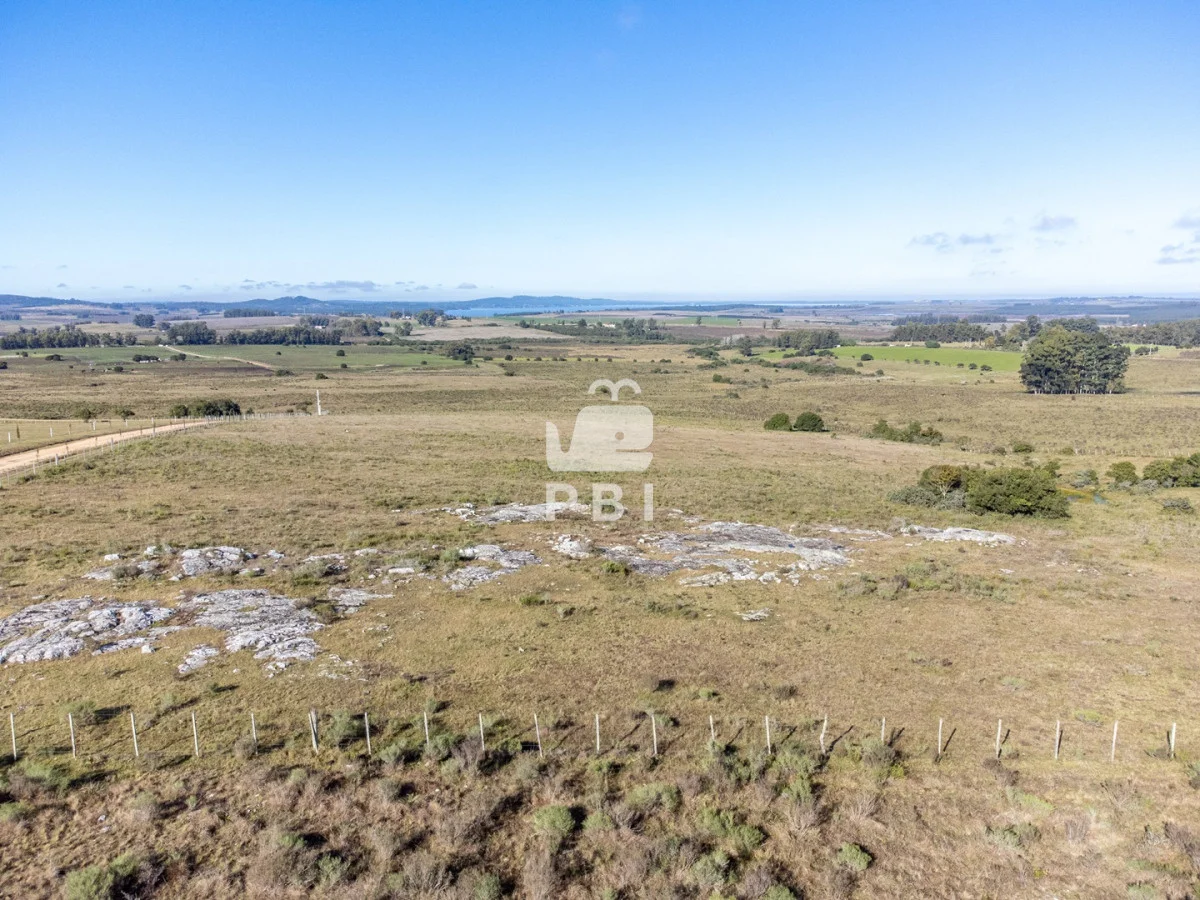Chacra en Rural, propiedad 187542 -Imagen 4