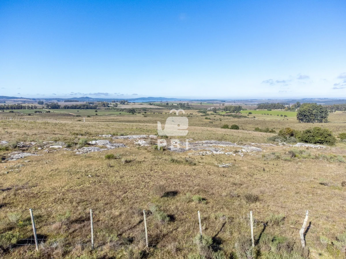 Chacra en Rural, propiedad 187542 -Imagen 5