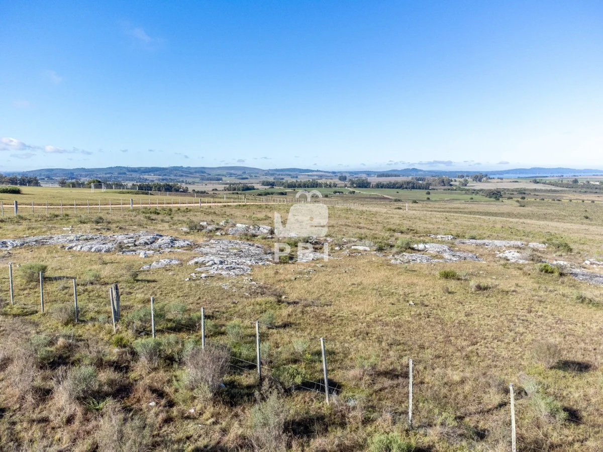 Chacra en Rural, propiedad 187542 -Imagen 6