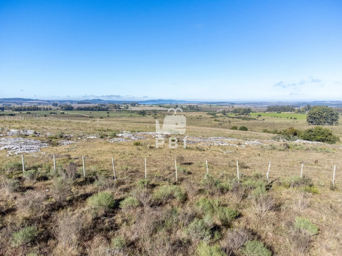 Chacra en Rural, propiedad 187542 -Imagen 7