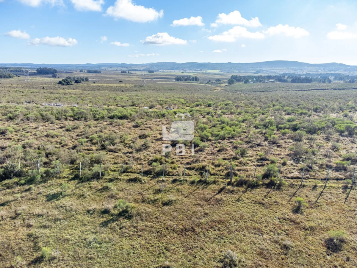 Chacra en Rural, propiedad 187542 -Imagen 9
