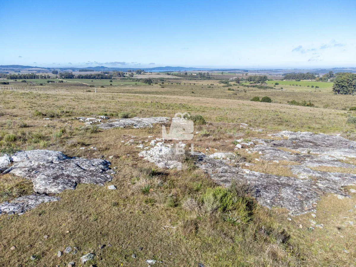 Chacra en Rural, propiedad 187542 -Imagen 10