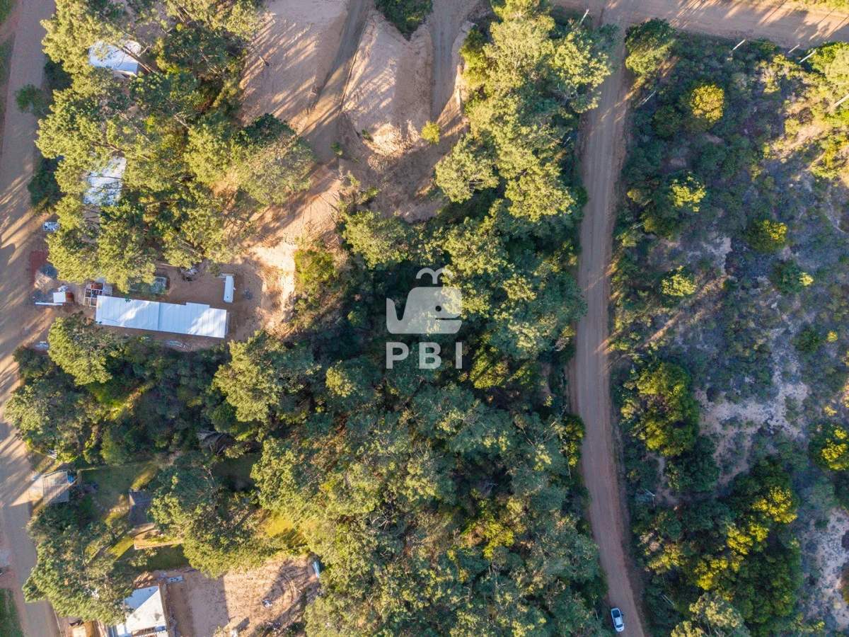 Terreno en Chihuahua, propiedad 216884 -Imagen 4