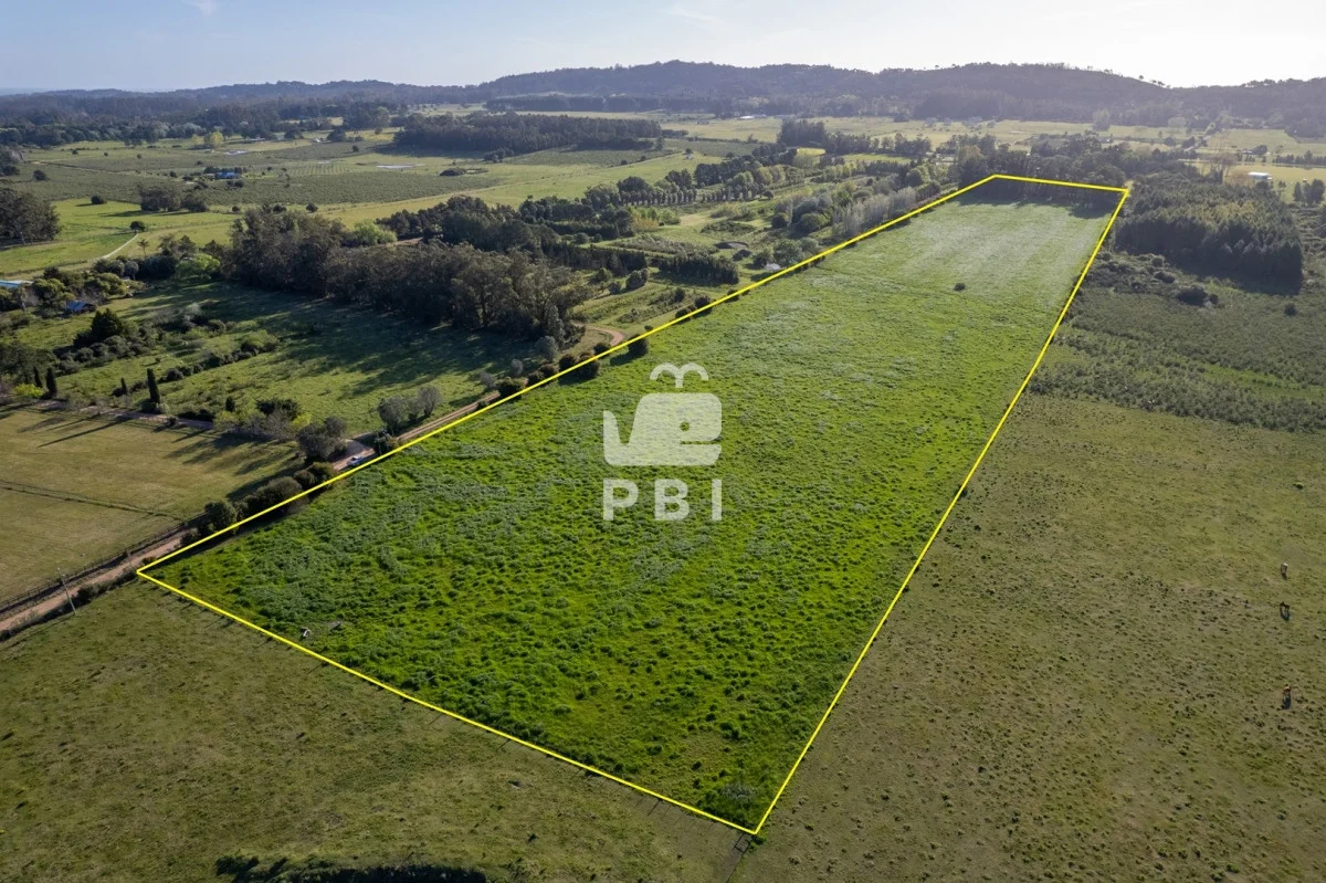 Chacra en Punta Ballena, propiedad 223506 -Imagen 2