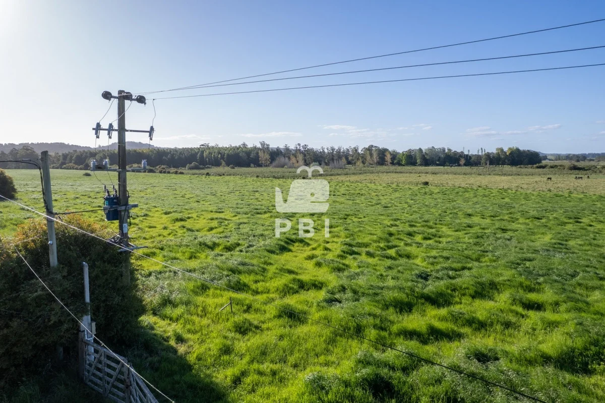 Chacra en Punta Ballena, propiedad 223506 -Imagen 3