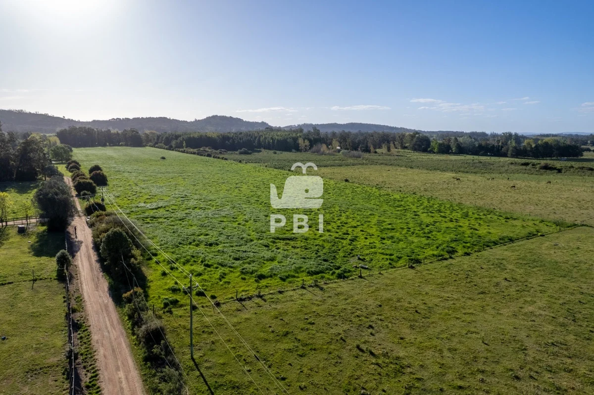 Chacra en Punta Ballena, propiedad 223506 -Imagen 4