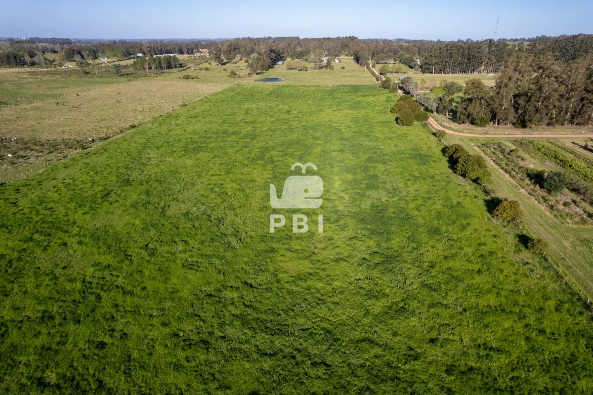 Chacra en Punta Ballena, propiedad 223506 -Imagen 10