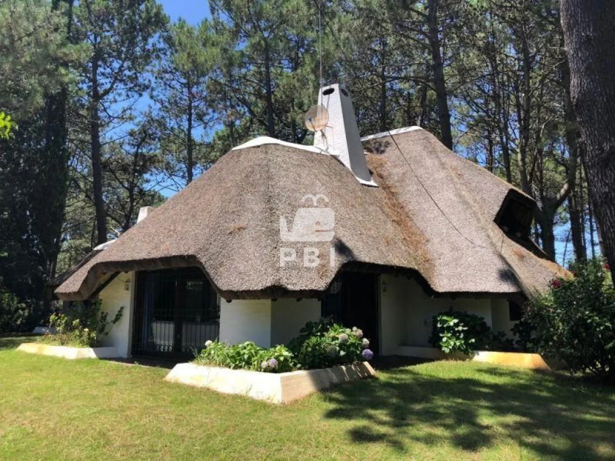 Casa en Punta Ballena, propiedad 241409 -Imagen 1