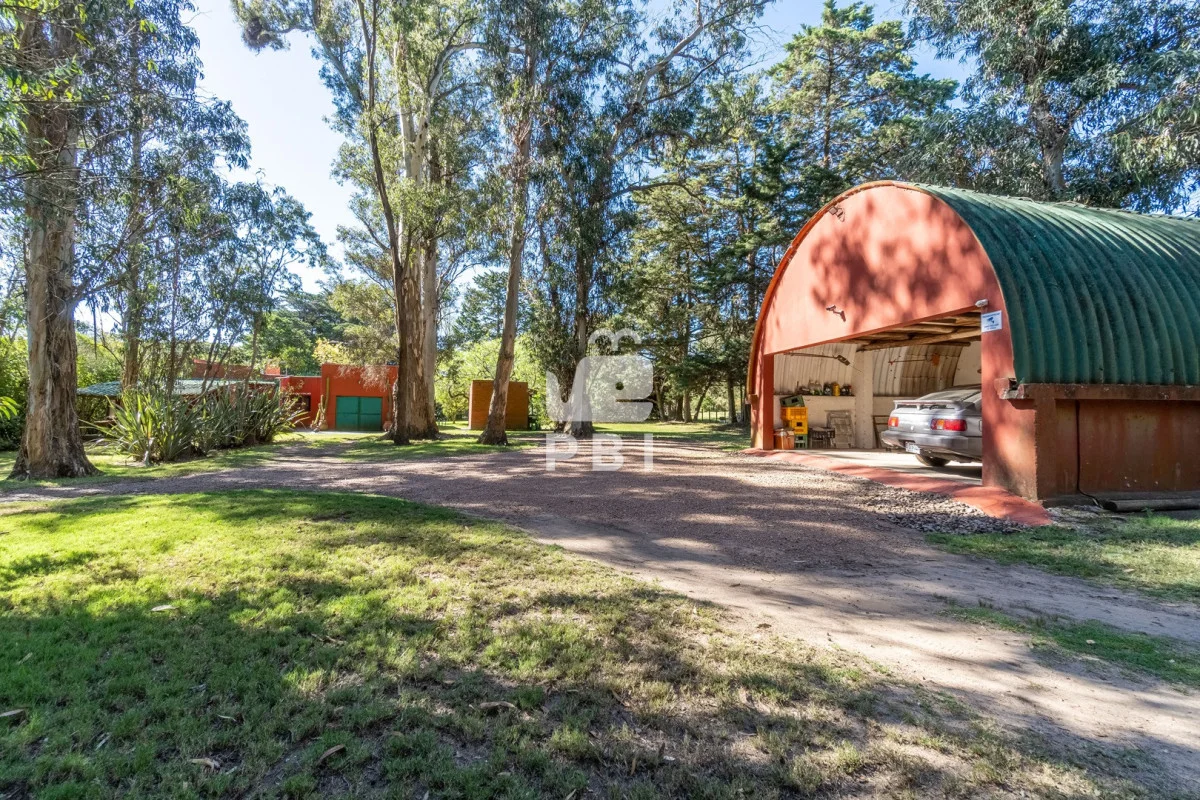 Chacra en Punta Ballena, propiedad 244117 -Imagen 23