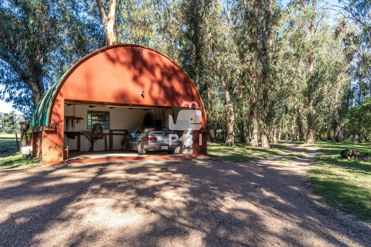 Chacra en Punta Ballena, propiedad 244117 -Imagen 24