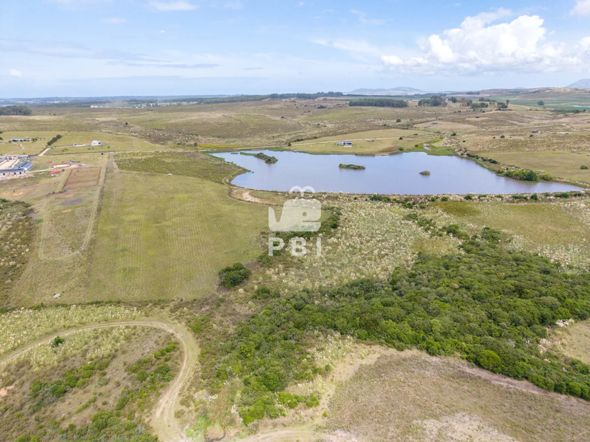 Chacra en Laguna del Sauce, propiedad 256374 -Imagen 2