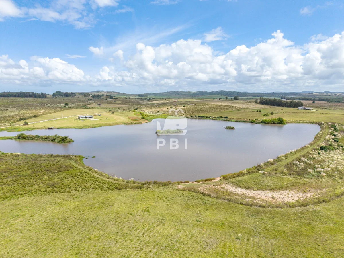 Chacra en Laguna del Sauce, propiedad 256374 -Imagen 11