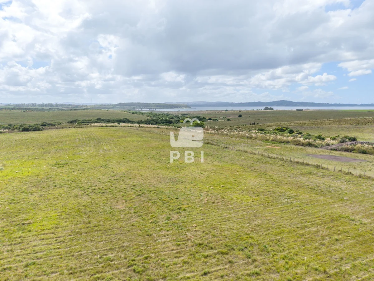 Chacra en Laguna del Sauce, propiedad 256374 -Imagen 12
