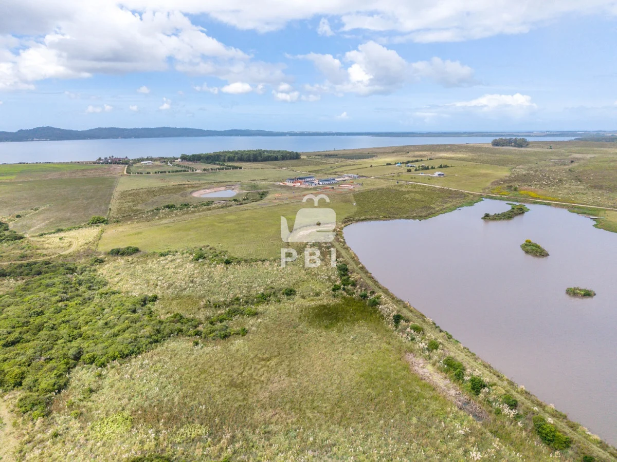 Chacra en Laguna del Sauce, propiedad 256374 -Imagen 4