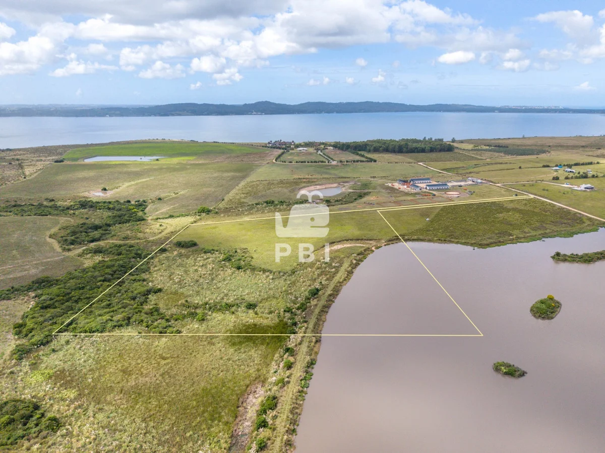 Chacra en Laguna del Sauce, propiedad 256374 -Imagen 5
