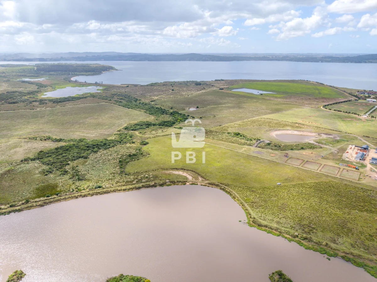Chacra en Laguna del Sauce, propiedad 256374 -Imagen 7