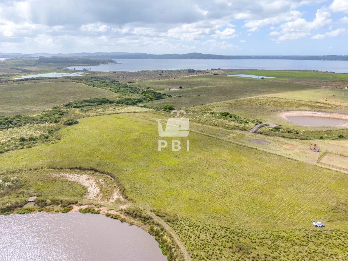 Chacra en Laguna del Sauce, propiedad 256374 -Imagen 8