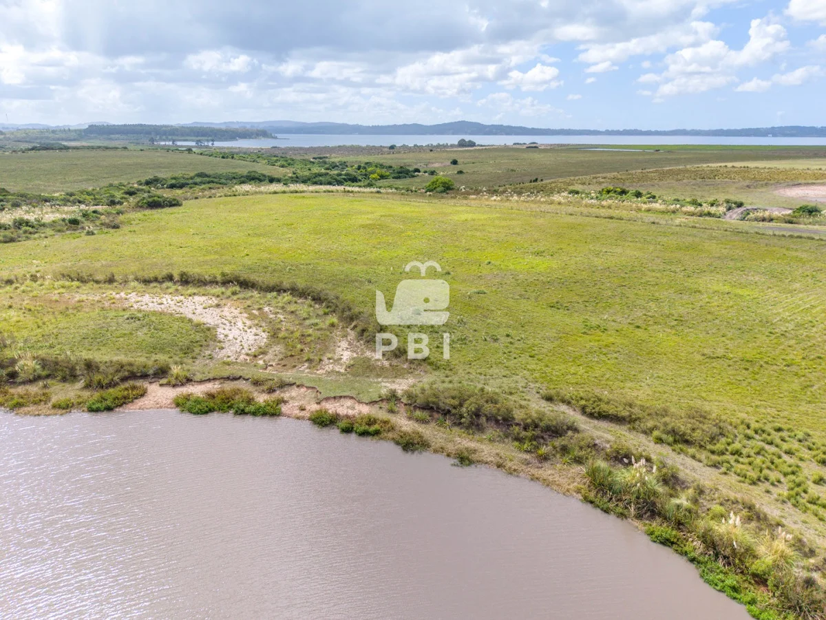 Chacra en Laguna del Sauce, propiedad 256374 -Imagen 9