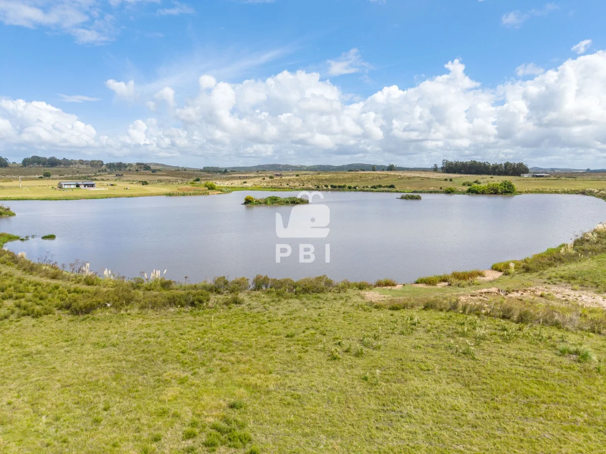 Chacra en Laguna del Sauce, propiedad 256374 -Imagen 10