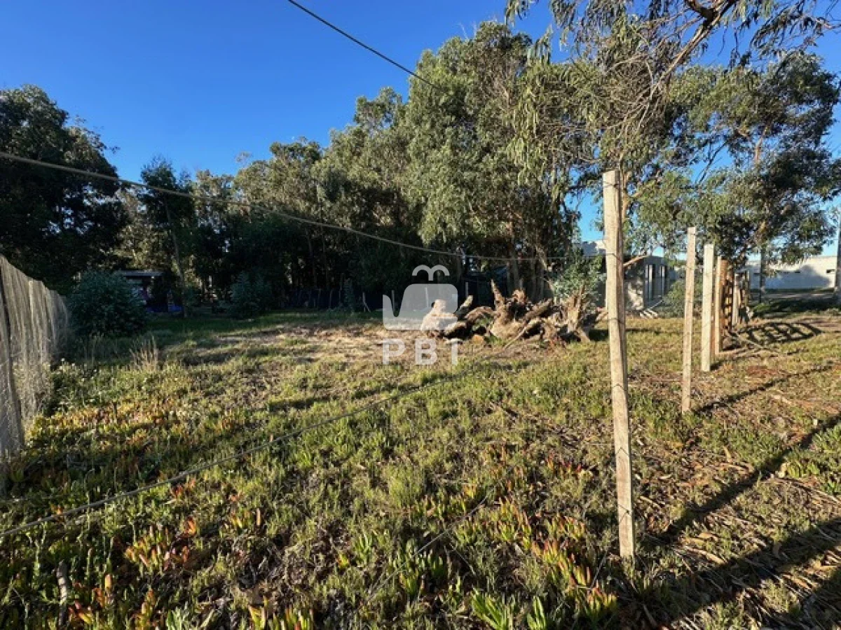 Terreno en Sauce de Portezuelo, propiedad 256703 -Imagen 4