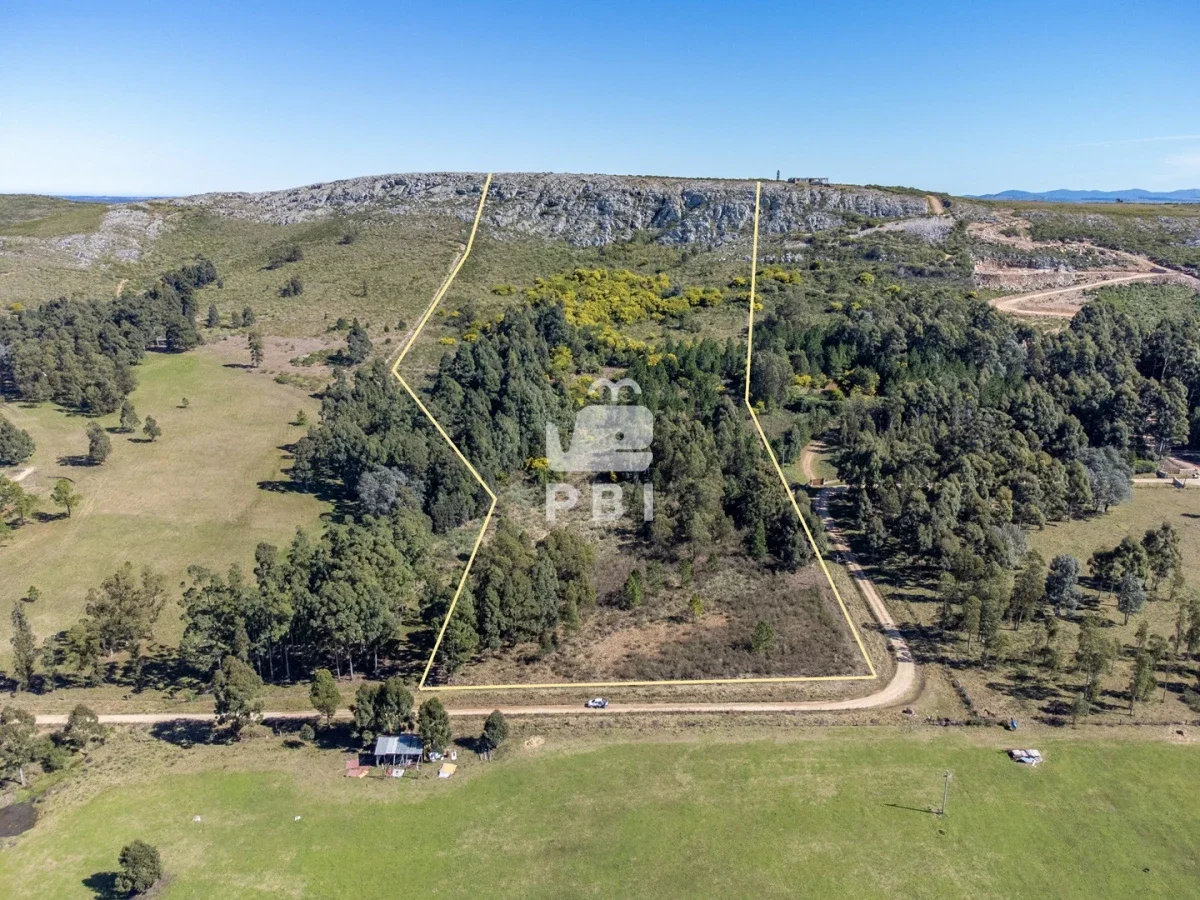 Chacra en Punta Ballena, propiedad 262072 -Imagen 2