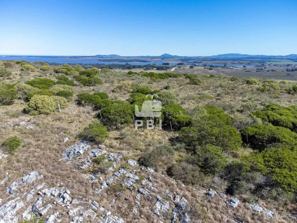 Chacra en Punta Ballena, propiedad 262072 -Imagen 11