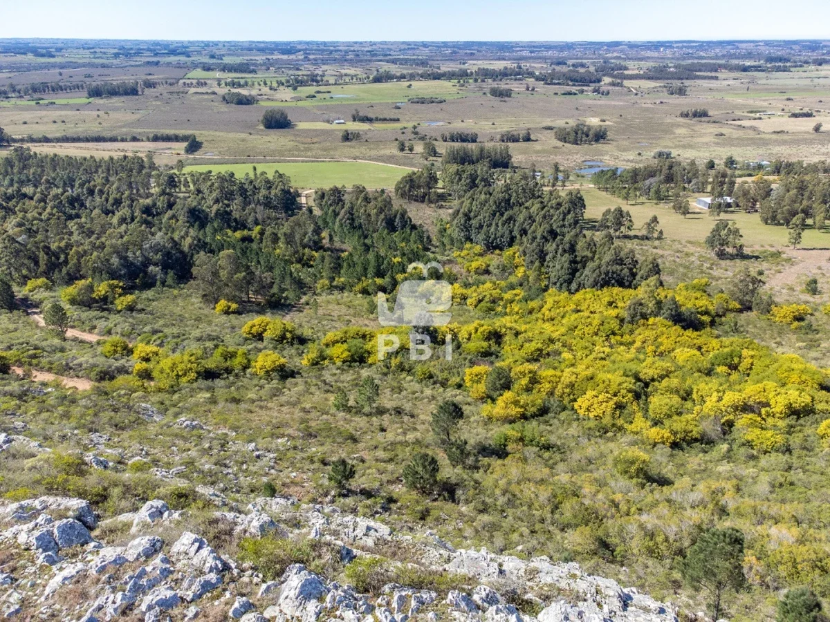 Chacra en Punta Ballena, propiedad 262072 -Imagen 13