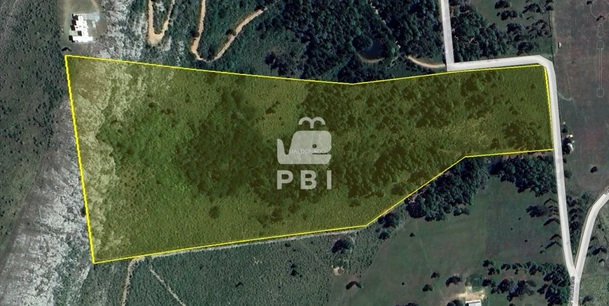 Chacra en Punta Ballena, propiedad 262072 -Imagen 15