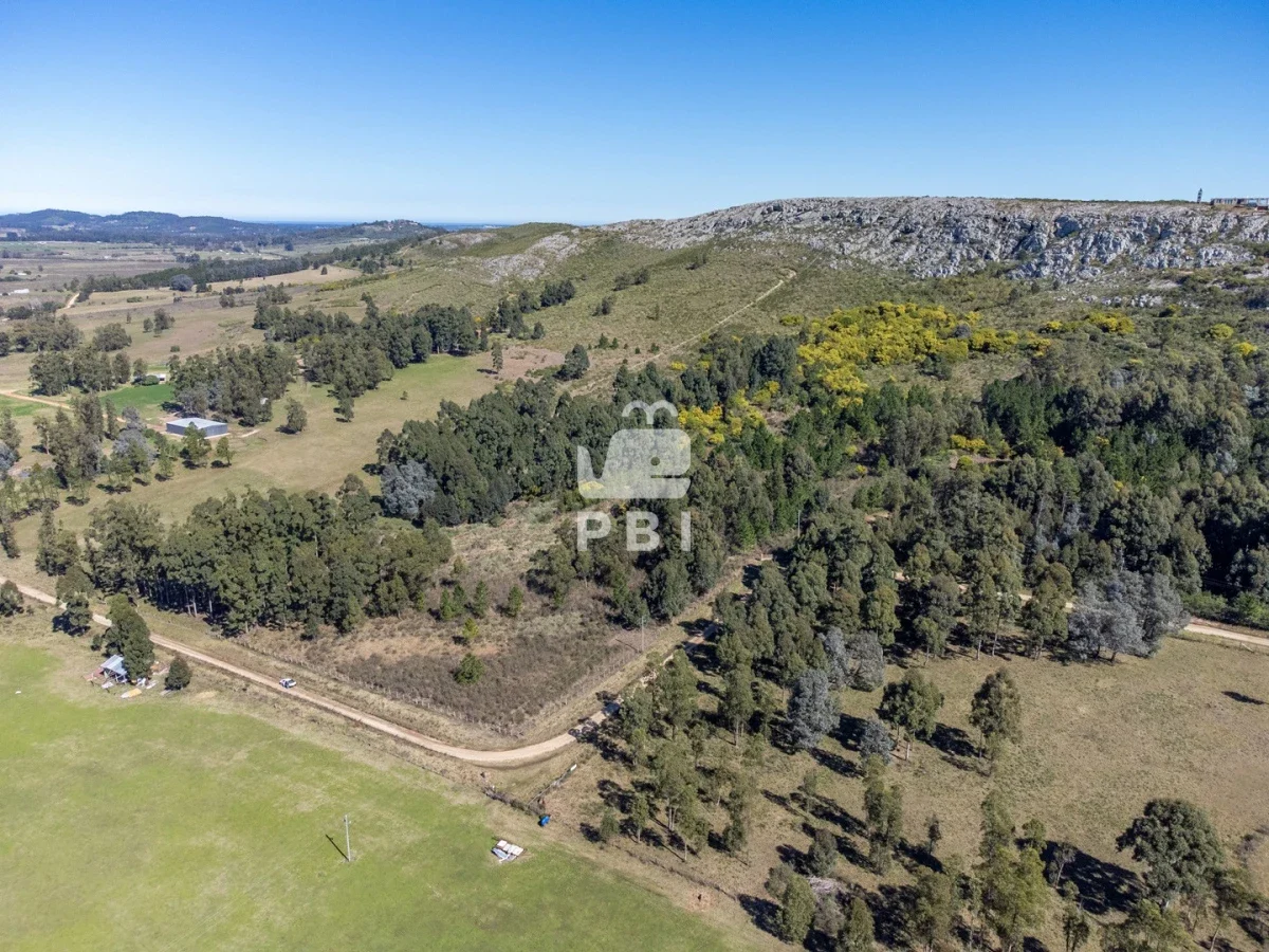 Chacra en Punta Ballena, propiedad 262072 -Imagen 3