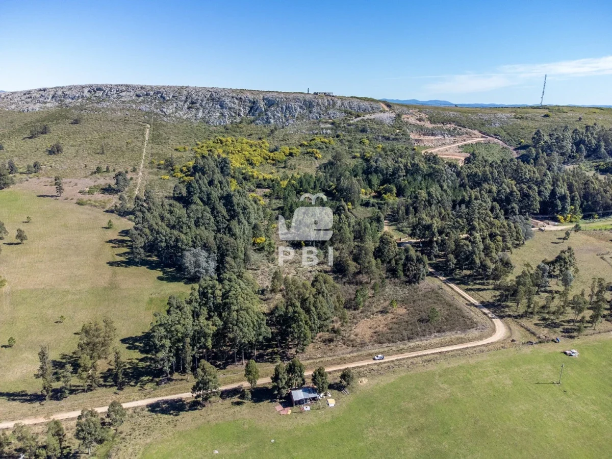 Chacra en Punta Ballena, propiedad 262072 -Imagen 4
