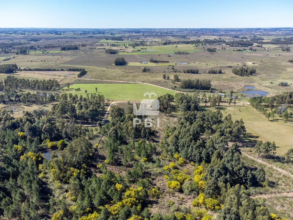 Chacra en Punta Ballena, propiedad 262072 -Imagen 5