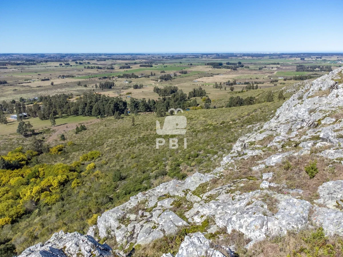 Chacra en Punta Ballena, propiedad 262072 -Imagen 9