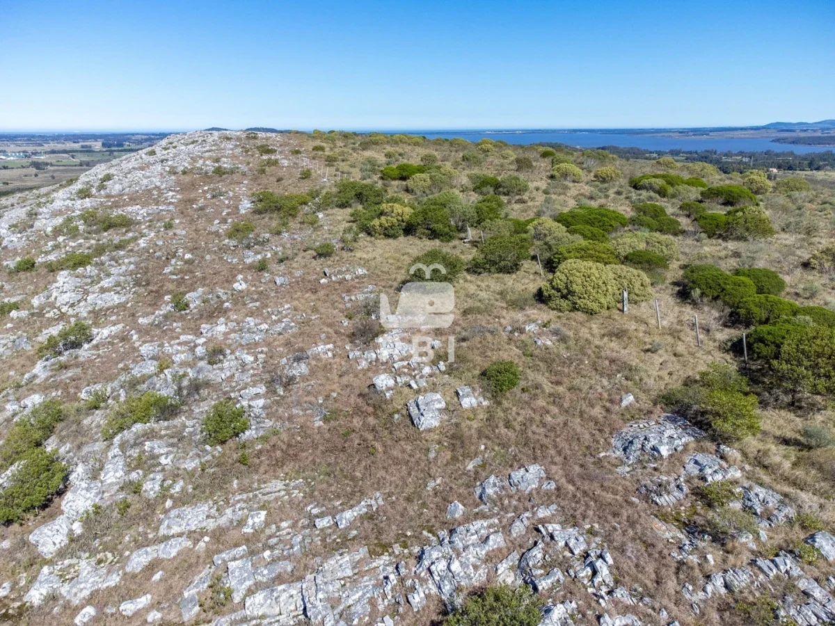 Chacra en Punta Ballena, propiedad 262072 -Imagen 10