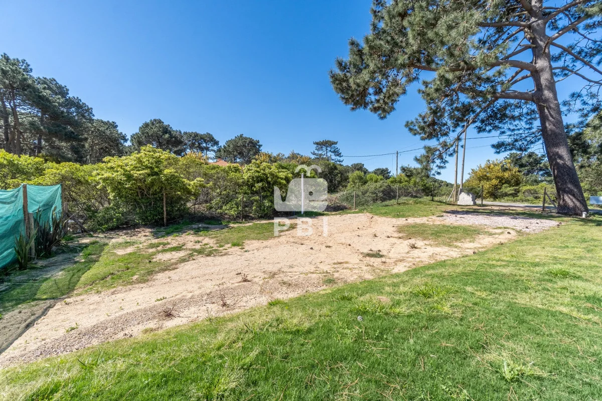 Casa en Punta Ballena, propiedad 265396 -Imagen 4