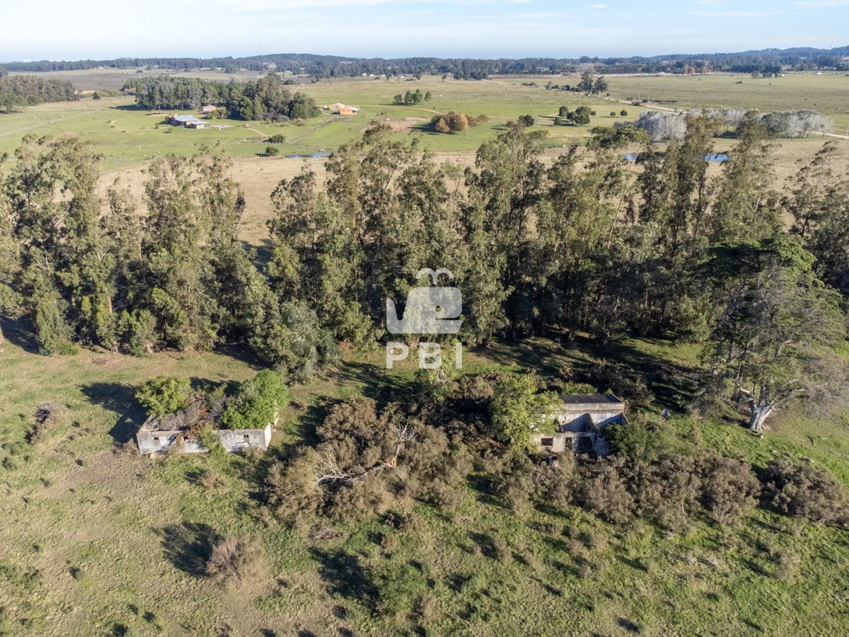 Chacra en Punta Ballena, propiedad 270800 -Imagen 11