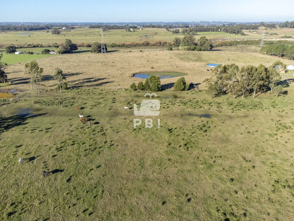 Chacra en Punta Ballena, propiedad 270800 -Imagen 12