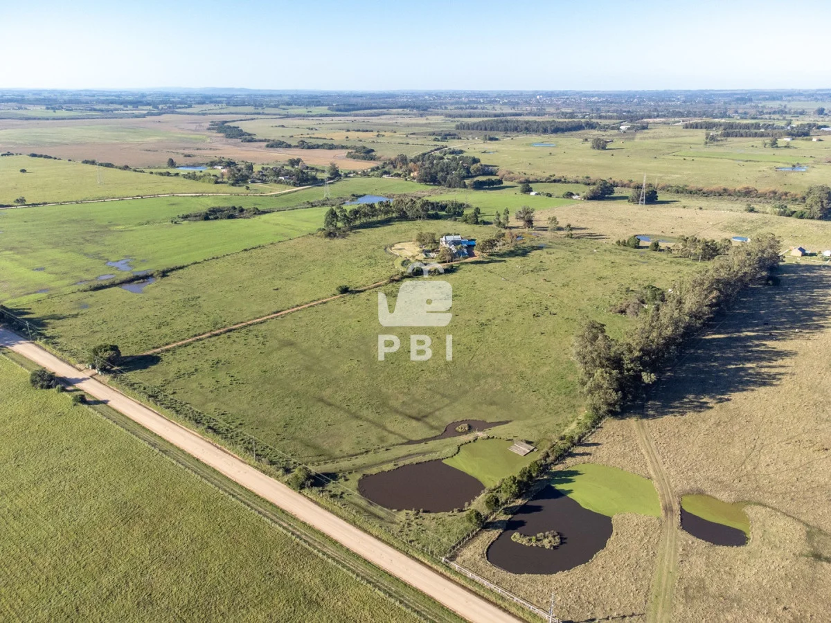 Chacra en Punta Ballena, propiedad 270800 -Imagen 3